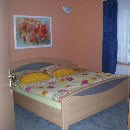 Paetzold 2 Comfortable Дранске